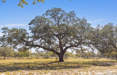 1304 County Road 777, Devine, TX 78016 - photo 5