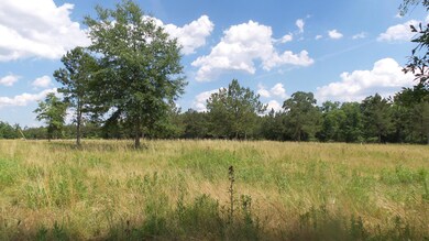 172 Dykes Rd, Soso, MS 39480 - photo 2