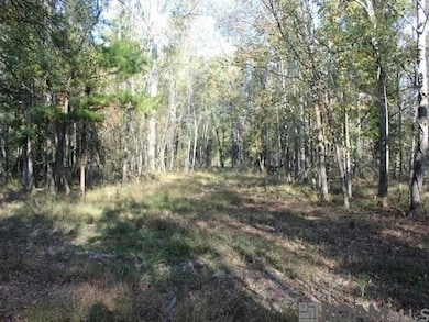 28545 Coker Vail Rd N, Holden, LA 70744 - photo 5