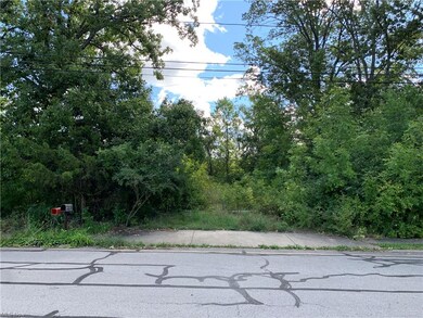 417 Cove Beach Ave, Sheffield Lake, OH 44054 - photo 4