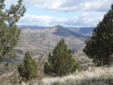 16220 Lost Coyote Ln, Mitchell, OR 97750 - photo 4