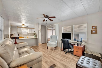 11 Hawaiian Way, Leesburg, FL 34788 - photo 7