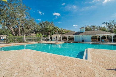 15843 Fishhawk View Dr, Lithia, FL 33547 - photo 4