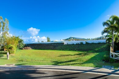 36 Ohia Lehua Place, Makawao, HI 96768 - photo 5