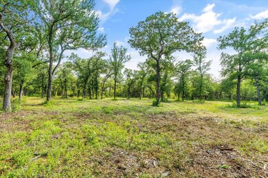 4201 Cr 801, Joshua, TX 76058 - photo 4