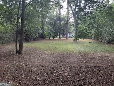 Backyard facing the house