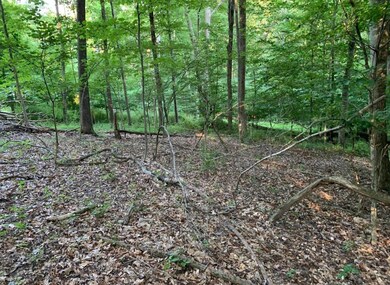 0 Montezuma Ln SE unit 222009038, Bremen, OH 43107 - photo 3