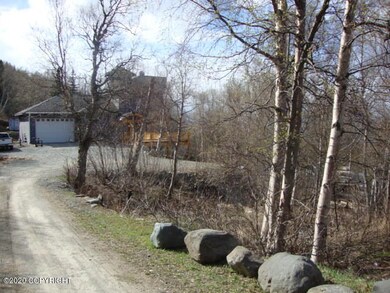 4600 Virgo Ave, Anchorage, AK 99516 - photo 5