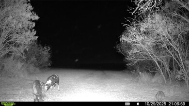 0 County Road 215, McCoy, TX 78113 - photo 4