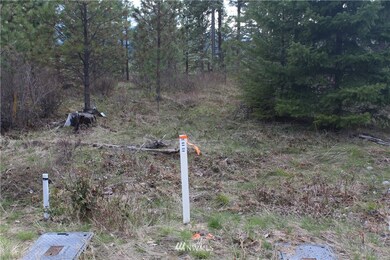 unlisted-address, Cle Elum, WA 98922 - photo 7