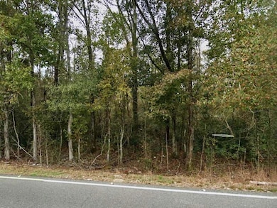 24075 Blood River Rd, Springfield, LA 70462 - photo 4