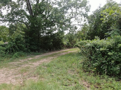 1641 Star Hill Rd, New Ulm, TX 78950 - photo 5