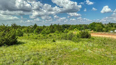 TBD E Bradshaw Rd, Springtown, TX 76082 - photo 6