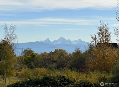 2988 Unick Rd, Ferndale, WA 98248 - photo 4