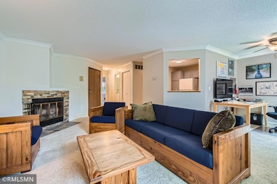 3557 Blue Jay Way unit 102, Eagan, MN 55123 - photo 2