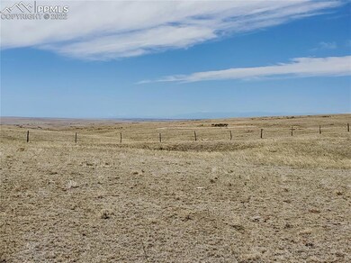 Wide Open Spaces