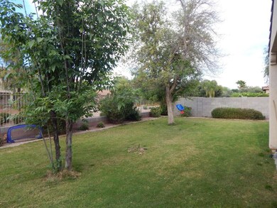Backyard 4.JPG