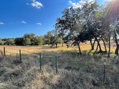 1150 Dps Tower Road #Lot 22, Perrin, TX 76486 - photo 3