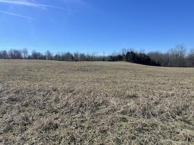 8 Marion Rd, Fredonia, KY 42411 - photo 2