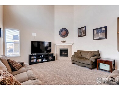 3883 Horiuchi St, Brighton, CO 80601 - photo 5