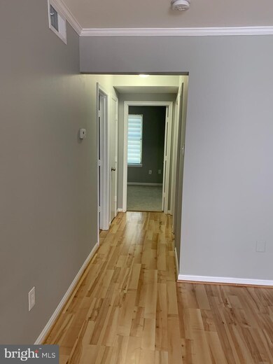 14909 Cleese Ct unit 4CF, Silver Spring, MD 20906 - photo 5