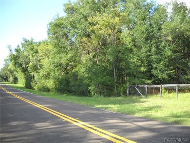 3301 N Page Ave, Hernando, FL 34442 - photo 4