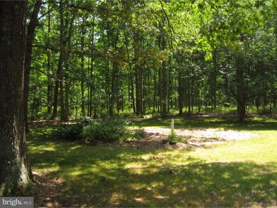 906 Whitehall Rd, Newfield, NJ 08344 - photo 6