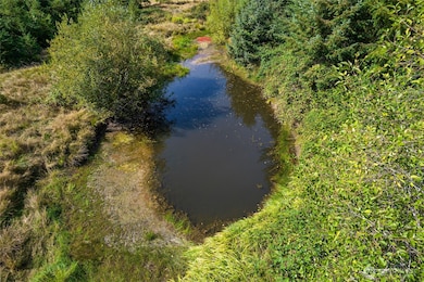 0 Xx Markley St, Raymond, WA 98577 - photo 5