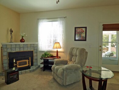 Fireplace with Pellet Stove Insert