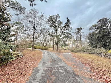 479 Altamaha Rd, Hazlehurst, GA 31539 - photo 6