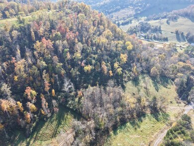 270 Higgins Rd, Woodbury, TN 37190 - photo 7