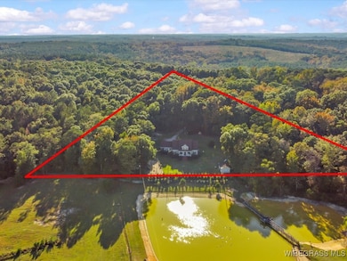 14622 Highway 51, Ariton, AL 36311 - photo 3