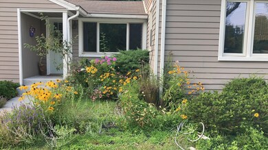 1517 Beautiful full bloom flowers