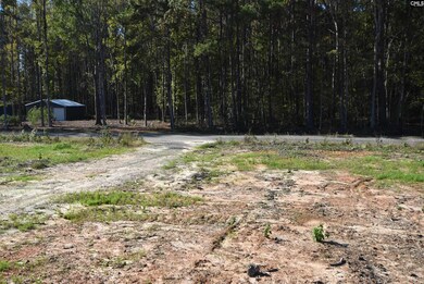 Lot 4 Gold Nugget Point, Prosperity, SC 29127 - photo 6