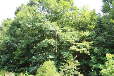 256 Donsdale Dr, Statesville, NC 28625 - photo 4