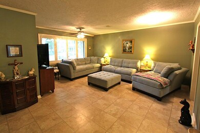 6214 Cindy Ln, Houston, TX 77008 - photo 4