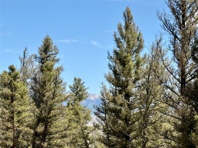 1720 Middle Fork Vista, Fairplay, CO 80440 - photo 5