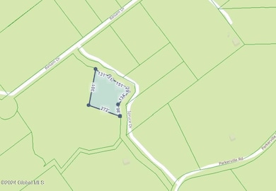 26 Spruce Dr, Indian Lake, NY 12842 - photo 4