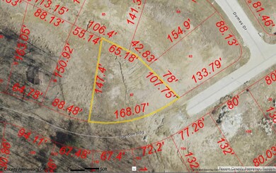 Vineyards lot 814 aerial