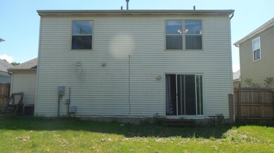 Back View