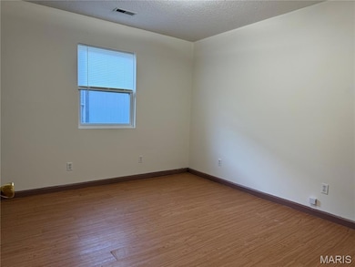 1203 W Locust St, Bowling Green, MO 63334 - photo 7