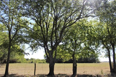 3331 Bethany Rd, Sherman, TX 75090 - photo 3