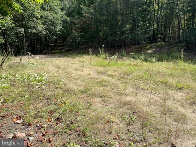 TBD Woods Chapel, New Market, VA 22844 - photo 3