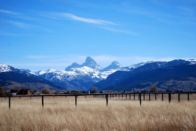 DSC_0091-002