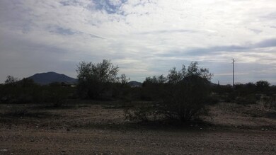 Looking South