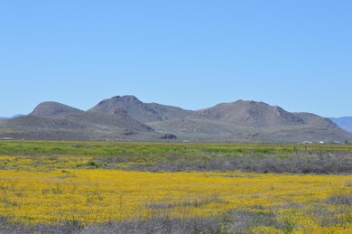 DSC_0048