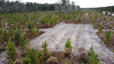 Lot 2 Amos Rd, Georgetown, SC 29440 - photo 6