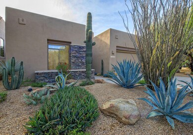 Beautiful Desert Front