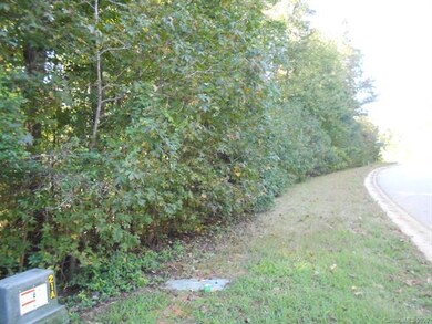 lot 29 Cottonwood Dr, Denver, NC 28037 - photo 5