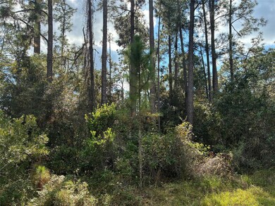 Lot 15, Block 75 Park Ave, Lake Wales, FL 33855 - photo 2